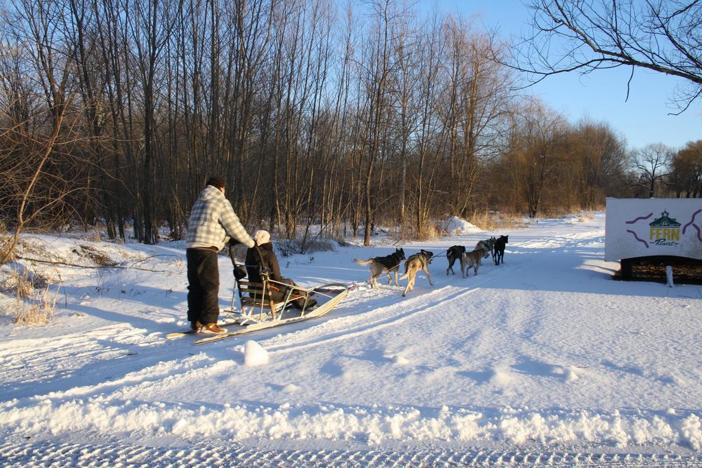 Fern Resort Орилия Екстериор снимка